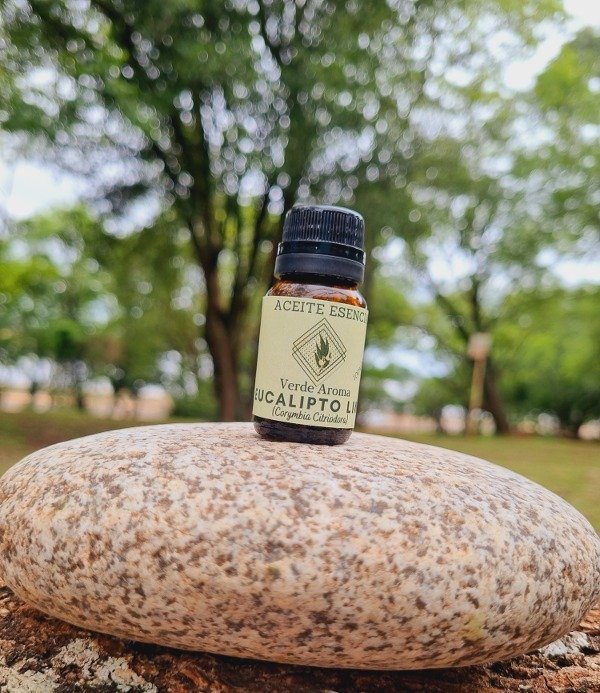 Producto - Eucalipto Limón (Corymbia Citriodora)