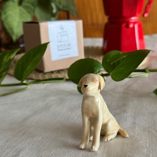 Producto - Labrador