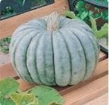 Producto - Zapallo gris plomo