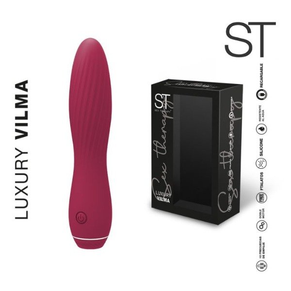 Producto - 2 VILMA VIBRADOR CON EMPUJE PROMO DIA DEL AMIGX