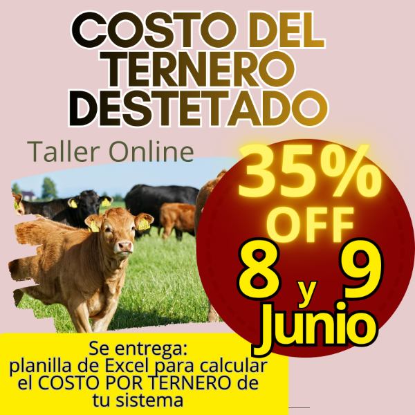 Producto - Taller Online: Costo del Ternero