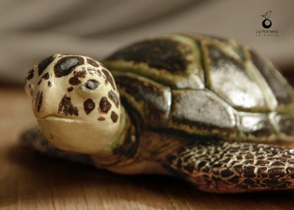 Producto - Tortuga Marina - Escultura - 11