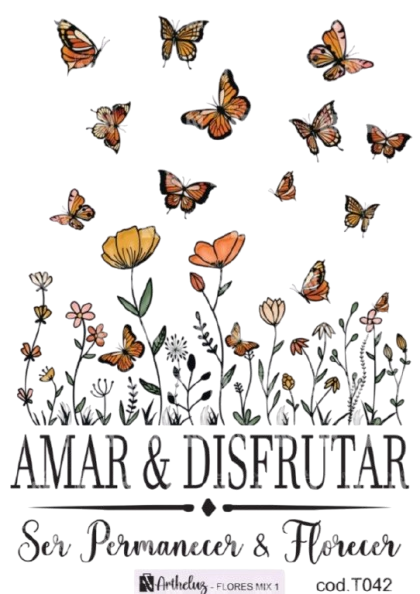 Producto - Transfers T042