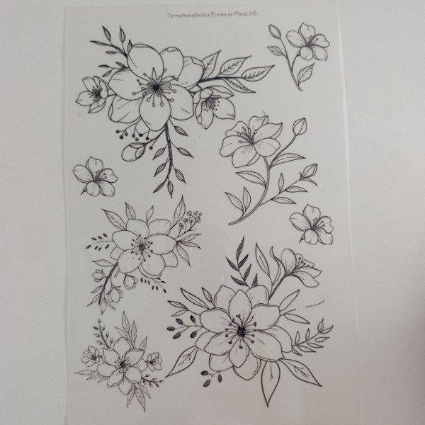 Producto - FDP 116 transfers