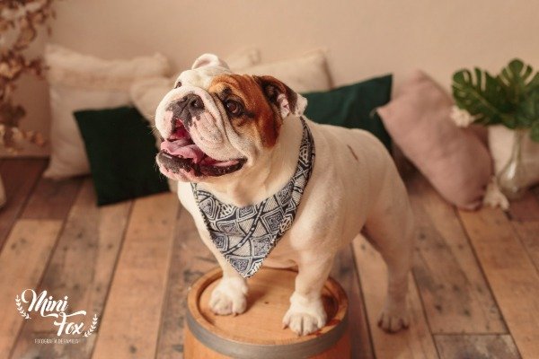 Miniatura de producto - 7