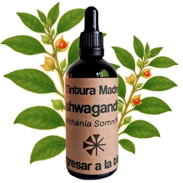 Producto - Tintura Madre de Ashwagandha 100ml