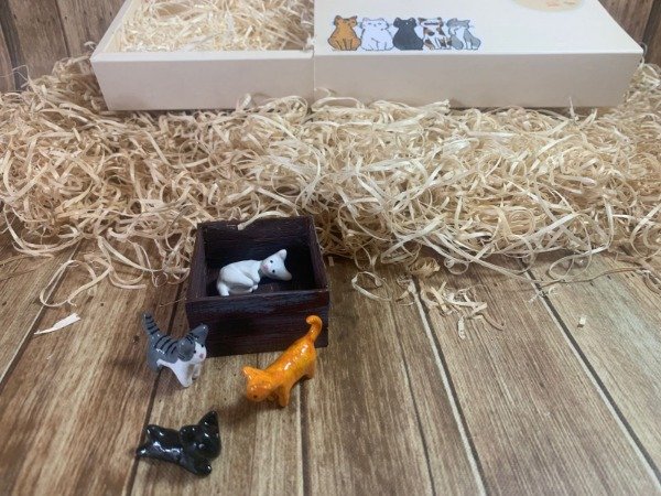 Producto - Caja Gatitos 3