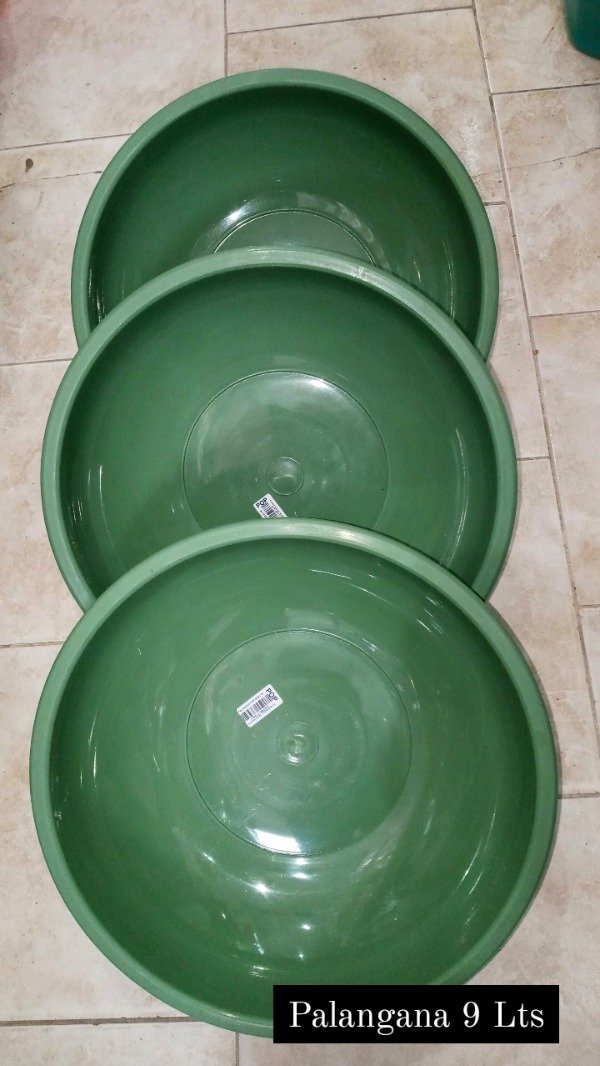Producto - Palangana x 9Lt