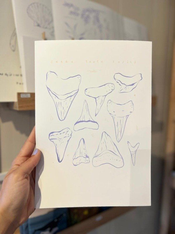 Producto - Lamina Dientes de tiburón