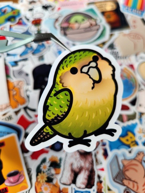 Producto - 421 - Cotorrita