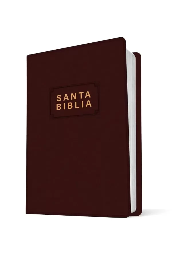 Producto - Biblia Nueva Traducción Viviente Tapa Vinilo Bordo