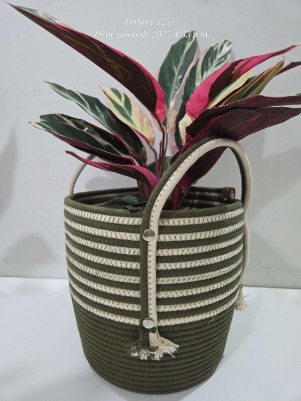 Miniatura de producto - 4