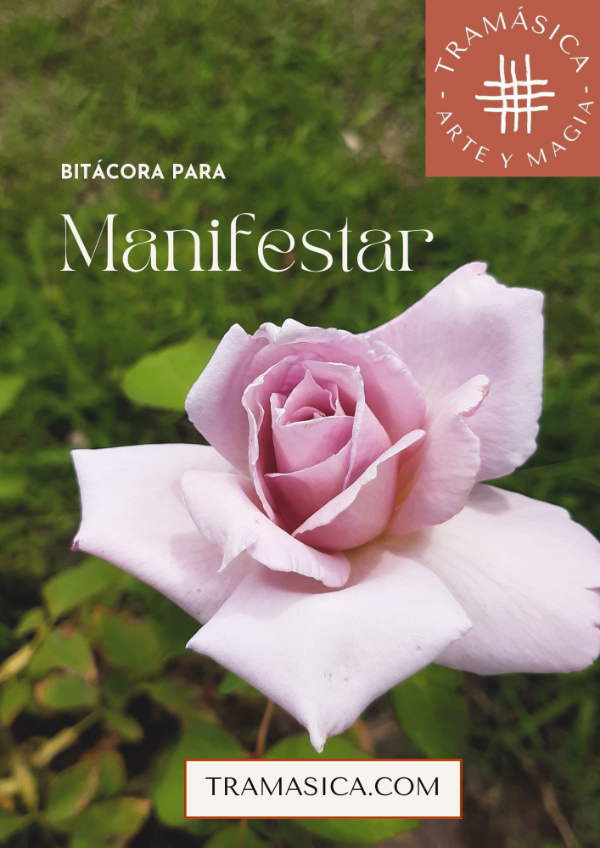 Producto - BITÁCORA PARA MANIFESTAR