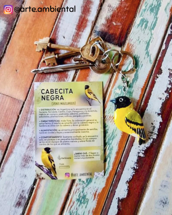 Miniatura de producto - 1