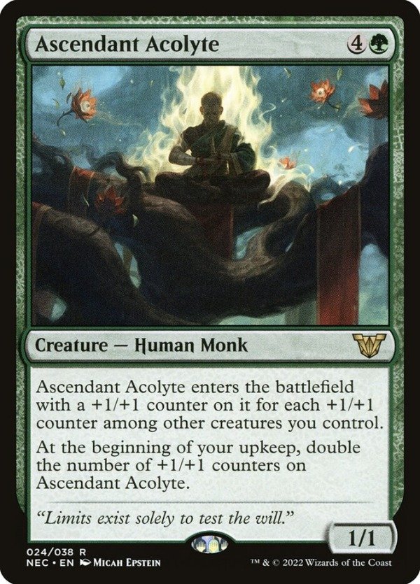 Producto - Ascendant Acolyte #24  Kamigawa: Neon Dynasty Commander
