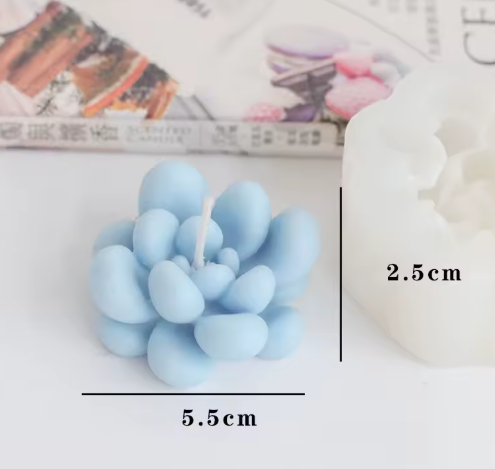 Producto - MOLDE SUCULENTA #N5