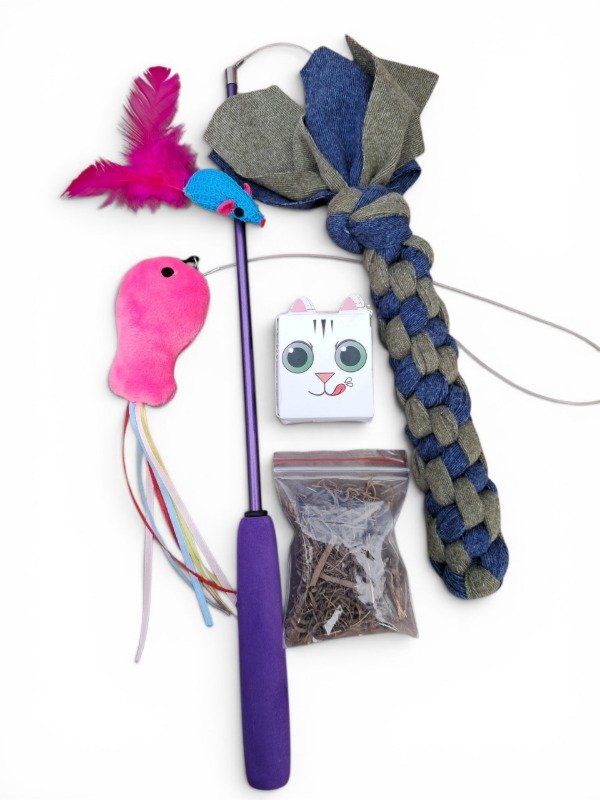Producto - Kit Estimulación para Gatos