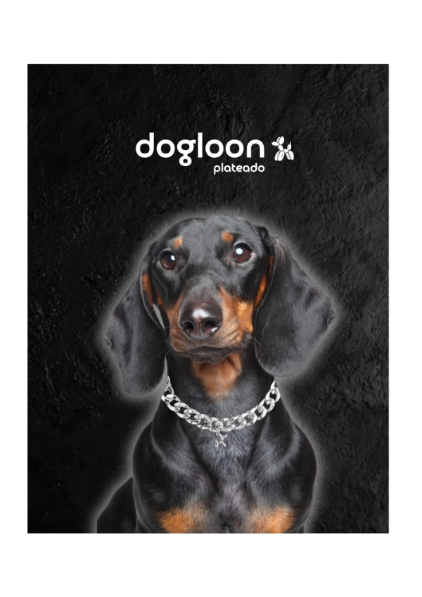 Producto - Dogloon Plateado