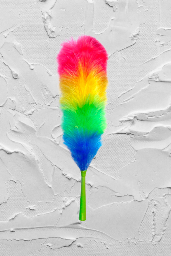 Producto - Plumero Gato