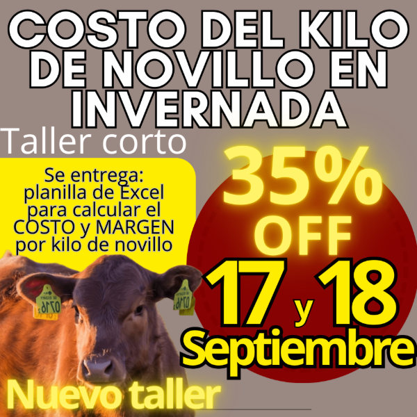 Producto - Taller corto: cálculo del costo del kilo de novillo - 0