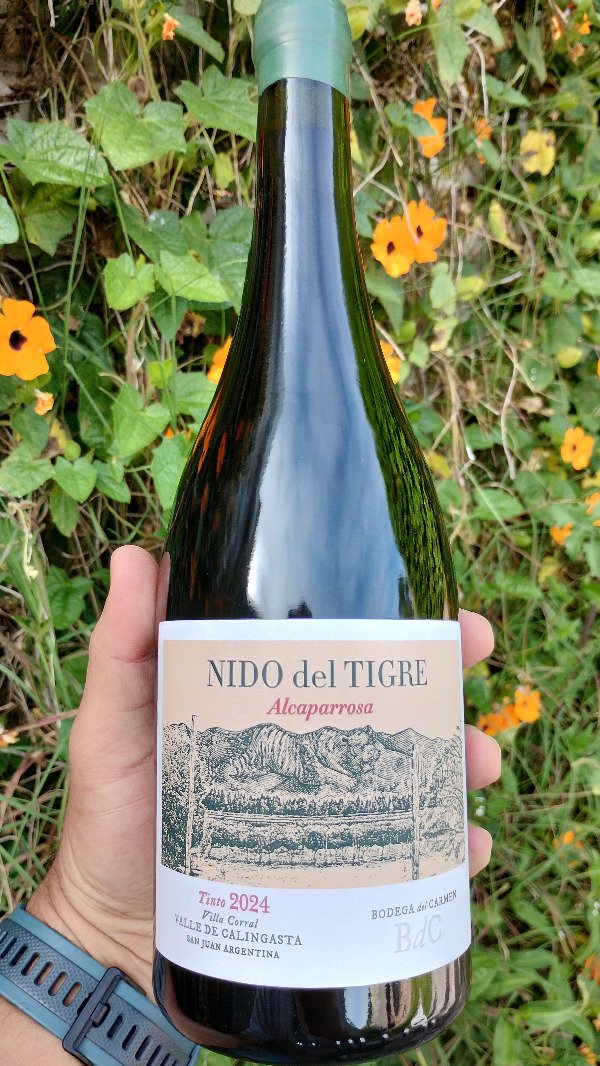 Producto - Bodega del Carmen - Nido del Tigre - Alcaparrosa