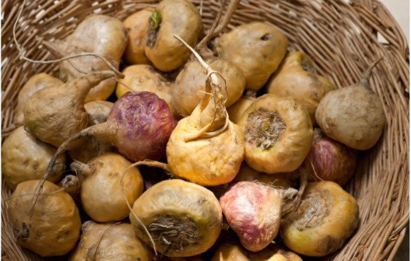 Miniatura de producto - 7