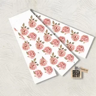 Producto - Transfer UV 088