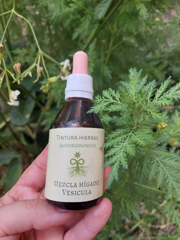 Producto - Tintura madre MEZCLA HIGADO/VESICULA