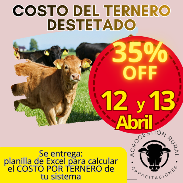 Producto - Taller Online: Costo del Ternero