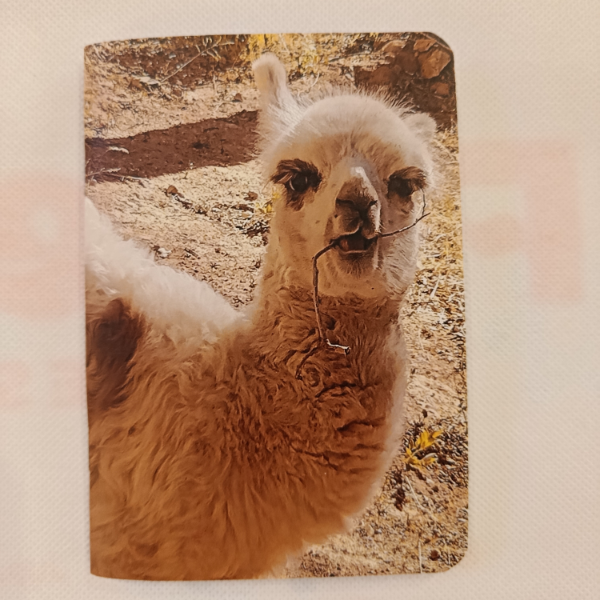 Producto - Libreta Llamita A6