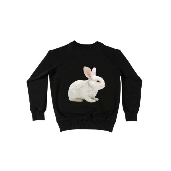 Producto - buzo bunny