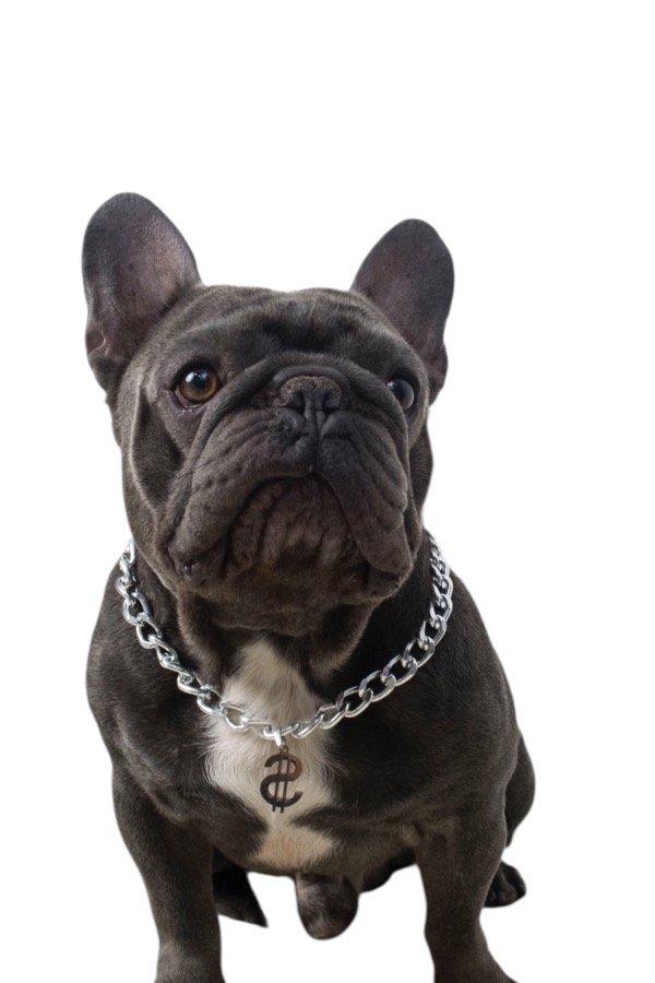 Producto - Cadena Dólar