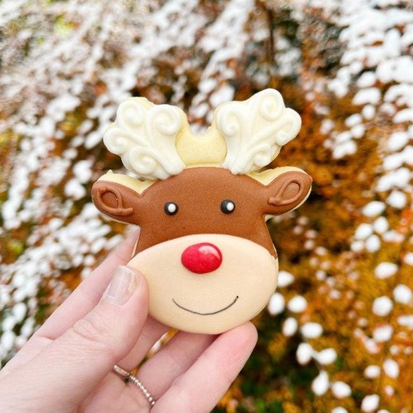 Producto - Cookies navideñas