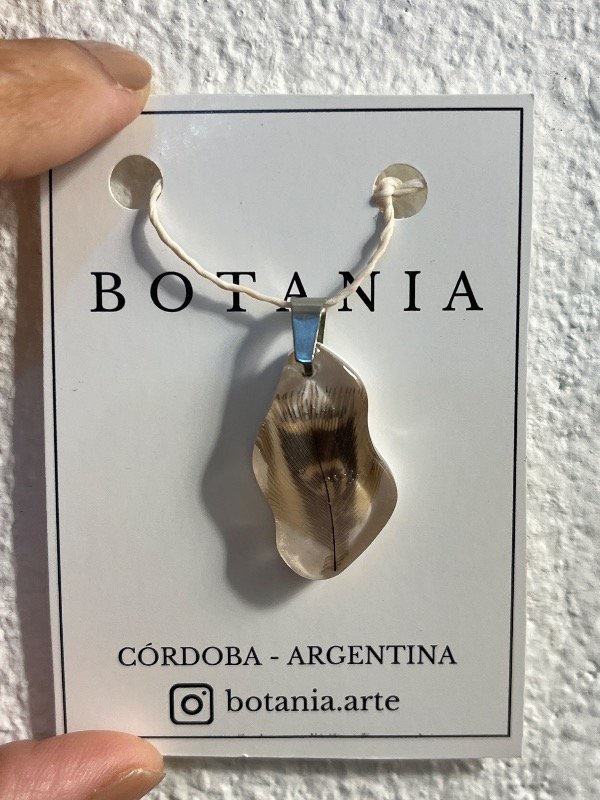 Producto - Pluma 6