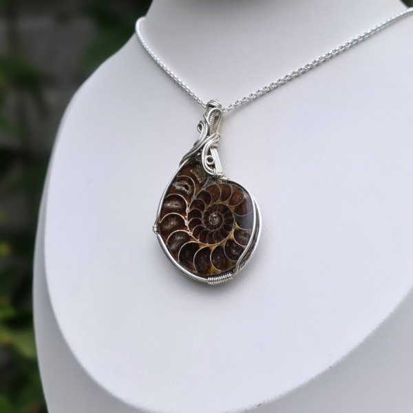 Producto - AMONITE FÓSIL