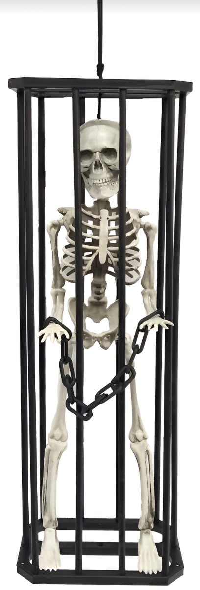 Producto - Esqueleto enjaulado colgante 43 x 15 x 9.5cm