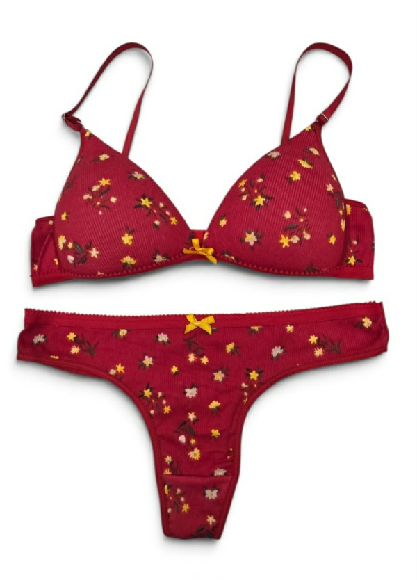 Producto - 14TE - Conjunto Triangulo Soft de Morley c/Colaless - 1