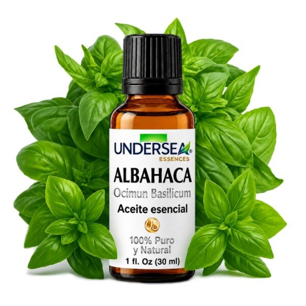 Producto - ACEITE ESENCIAL DE ALBAHACA (OCIMUM BASILICUM)