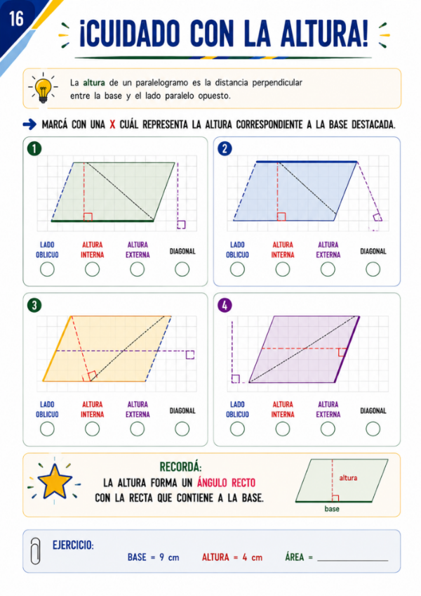 Producto - Perímetro y Área: Fórmulas, equivalencias y resolución de problemas - 12
