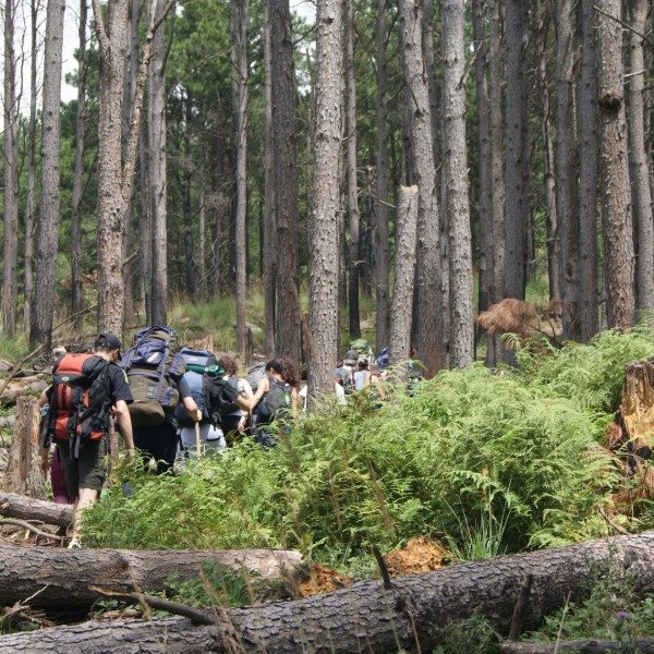 Miniatura de producto - 7