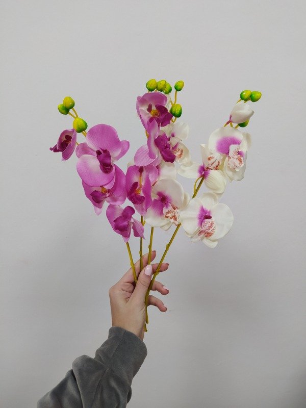Producto - Orquídea unidad