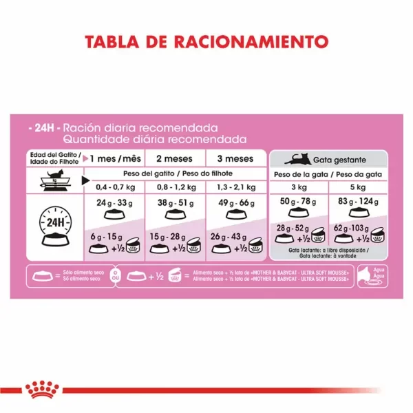 Producto - Alimento Royal Canin Gato Mother y Babycat - 1,5 Kg - 4