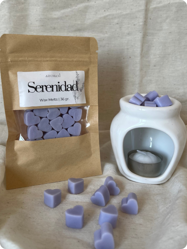 Producto - Kit hornito + Wax Melts - 2
