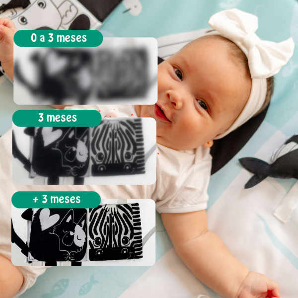 Producto - Playmat Sensorial Contrastes - 2