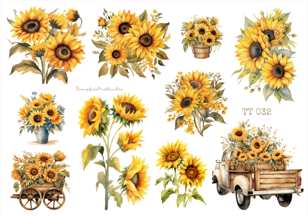 Producto - TT 032