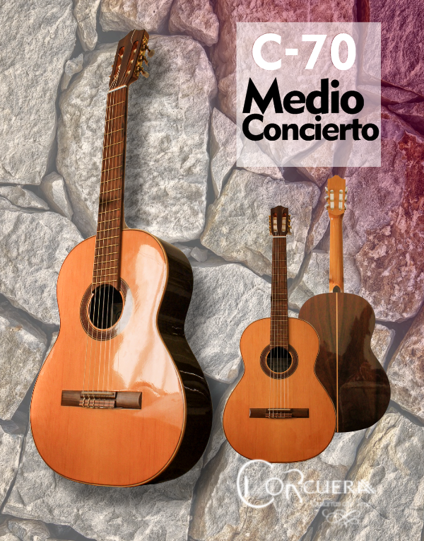 Producto - C-70 Guitarra Clasica Medio Concierto + Funda Ritter