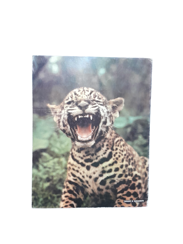 Miniatura de producto - 7