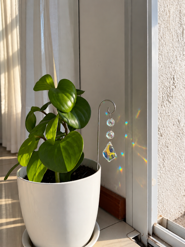 Producto - Tutor plantas - 0