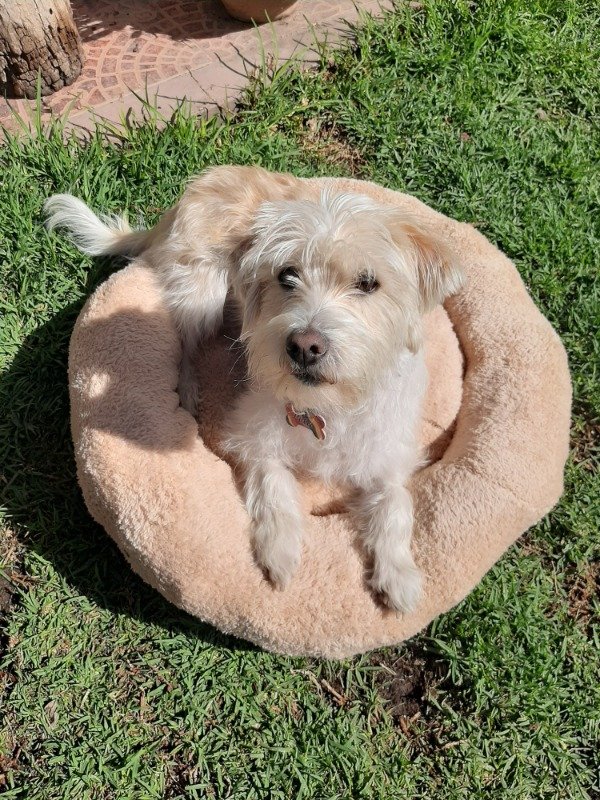 Producto - Nido de peluche SUAVE