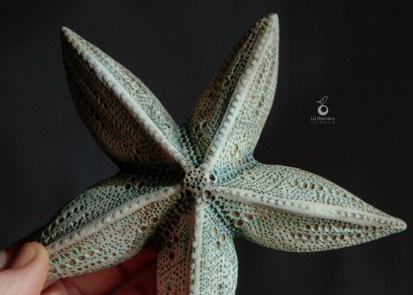 Producto - Escultura Estrella de Mar - Pieza Única de Autor - 4